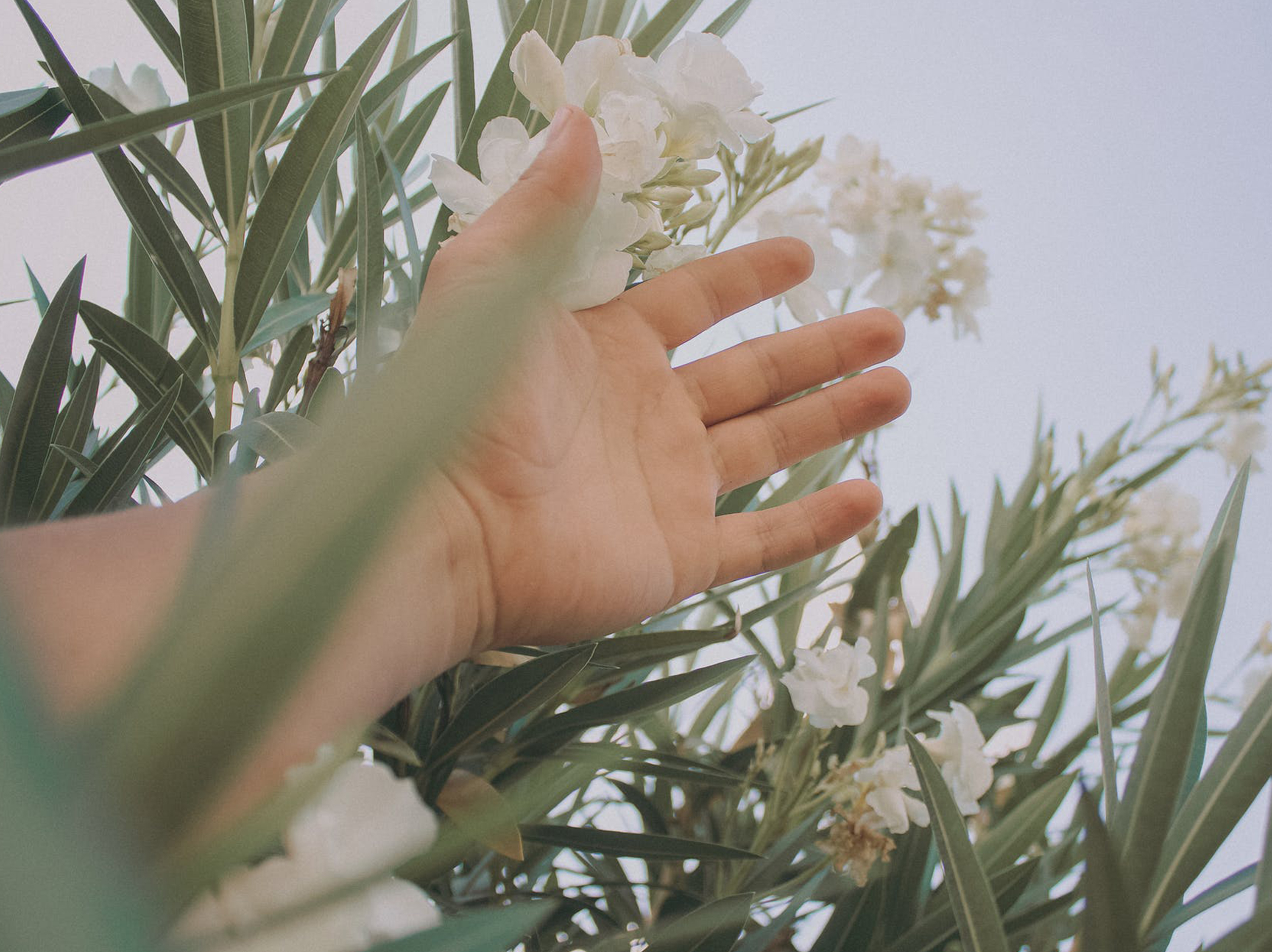 Reaching Out